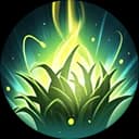 Firefly Fields